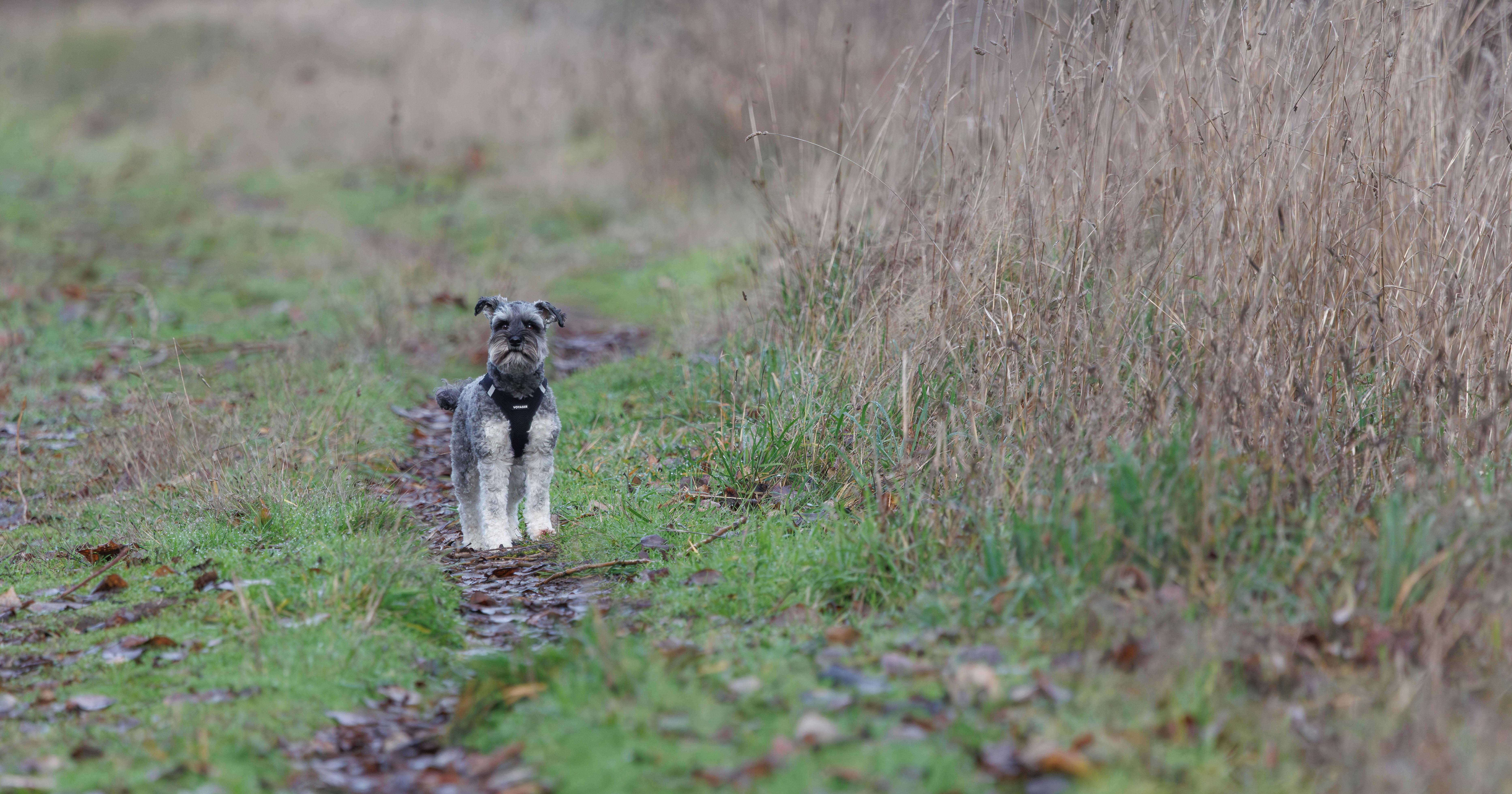 pexels-photo-35623391.jpeg?auto=compress&cs=tinysrgb&h=650&w=940