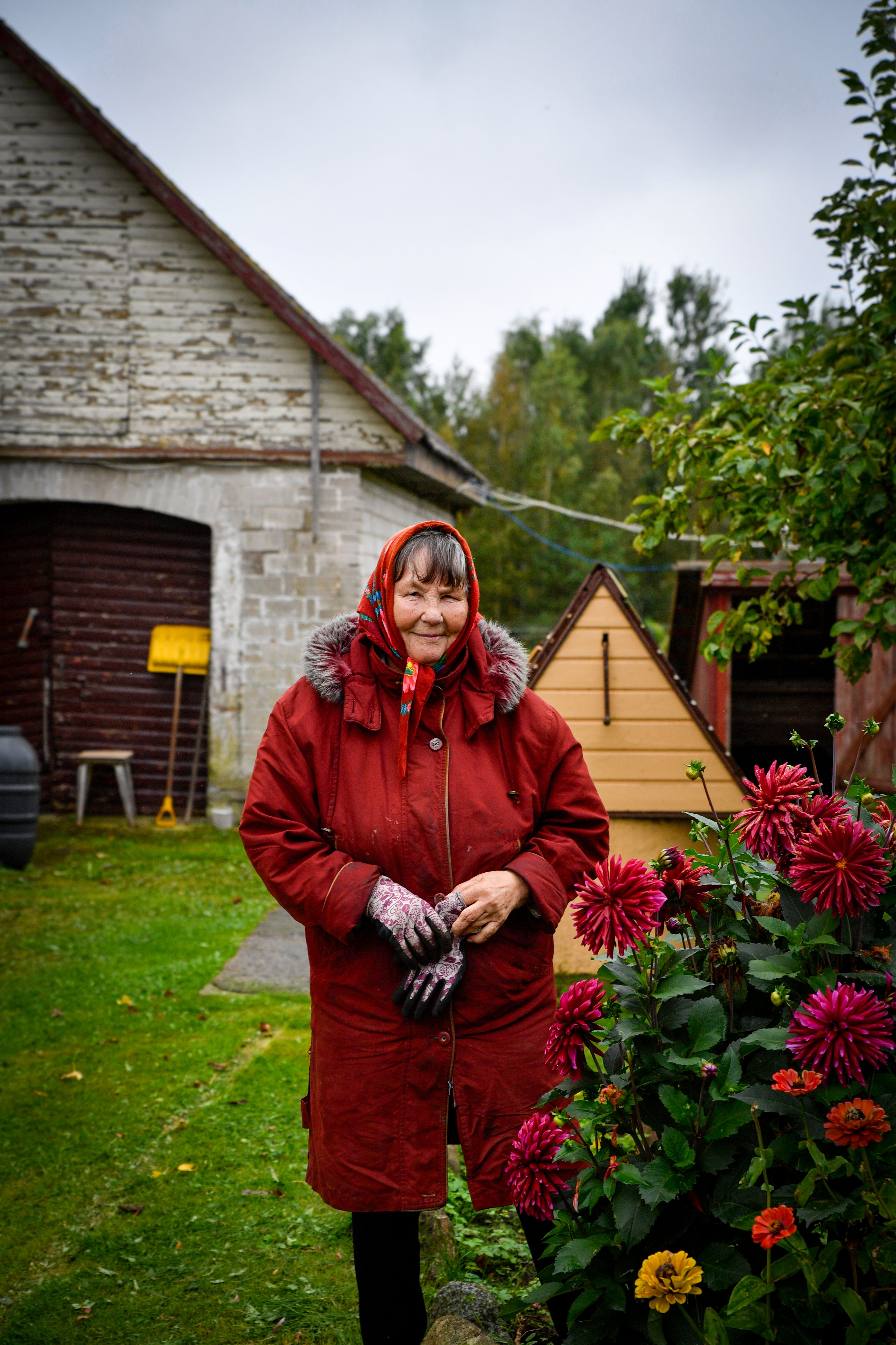 Senior woman in red coat gardening with flowers outside a barn in Tartu County.