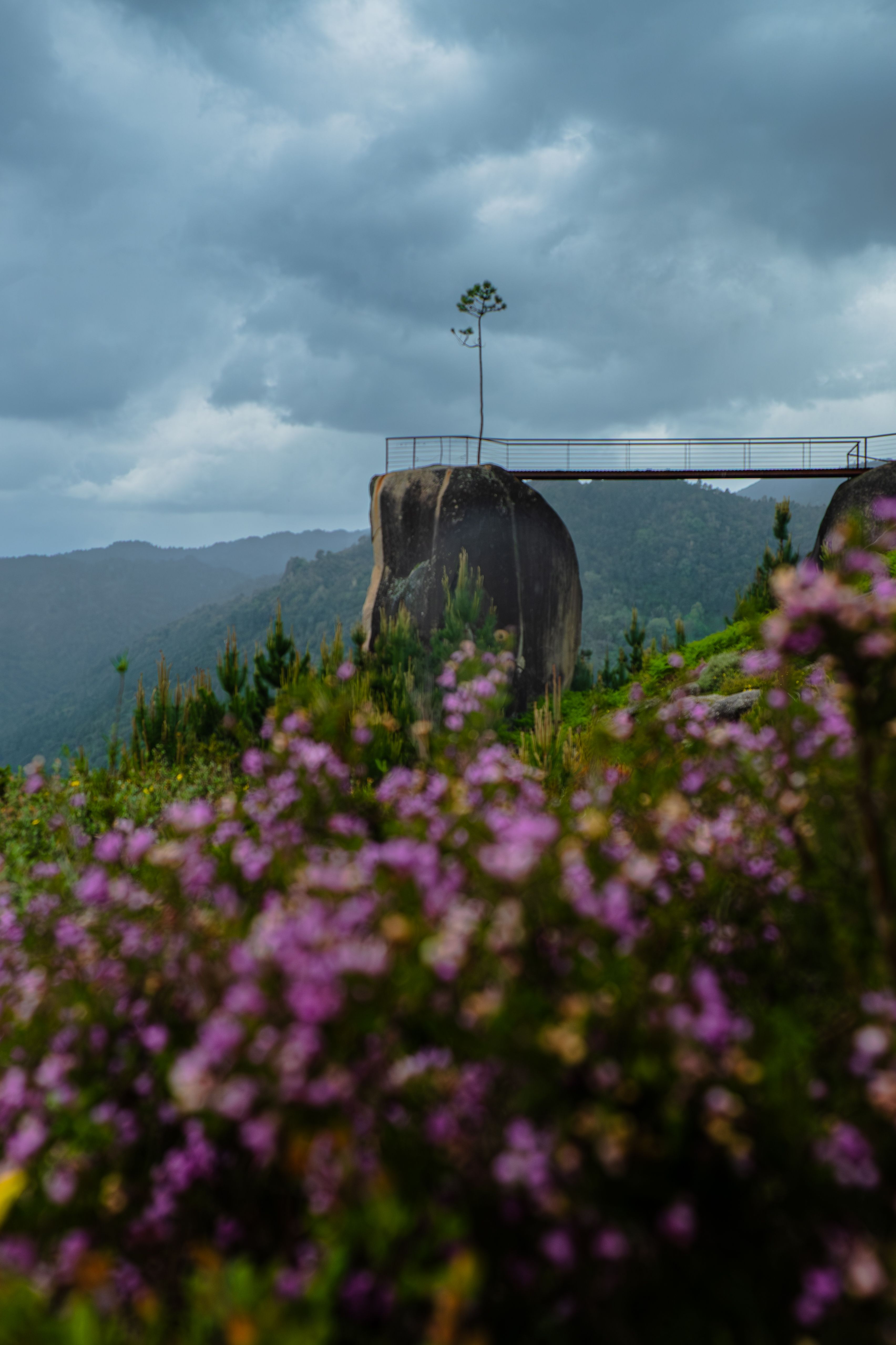 Breathtaking mountain landscape with purple flowers and rocky cliffs under cloudy skies in Portugal.