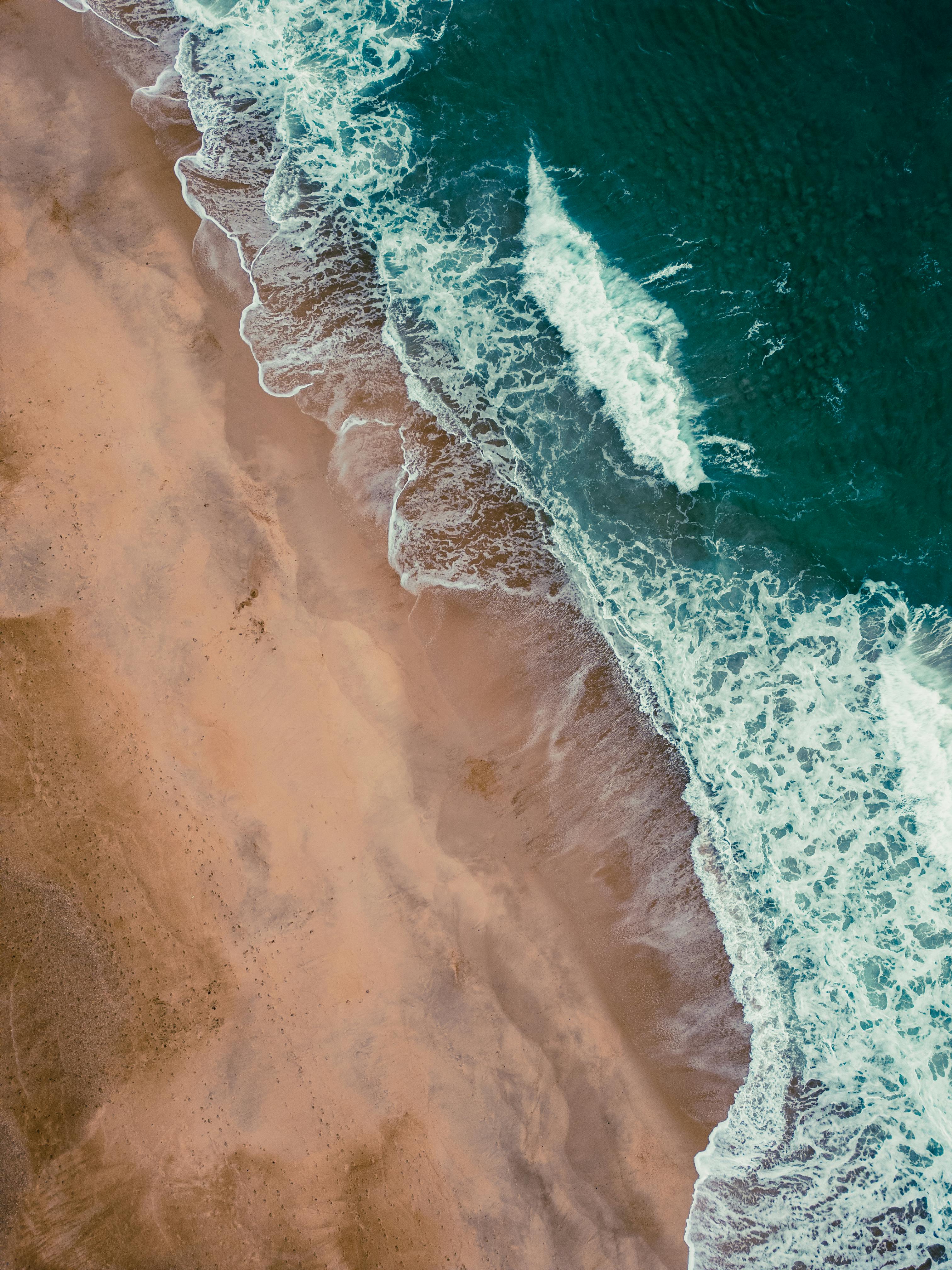 Performance Features of⁤ the‌ Hamilton Beach Wave ⁤Crusher