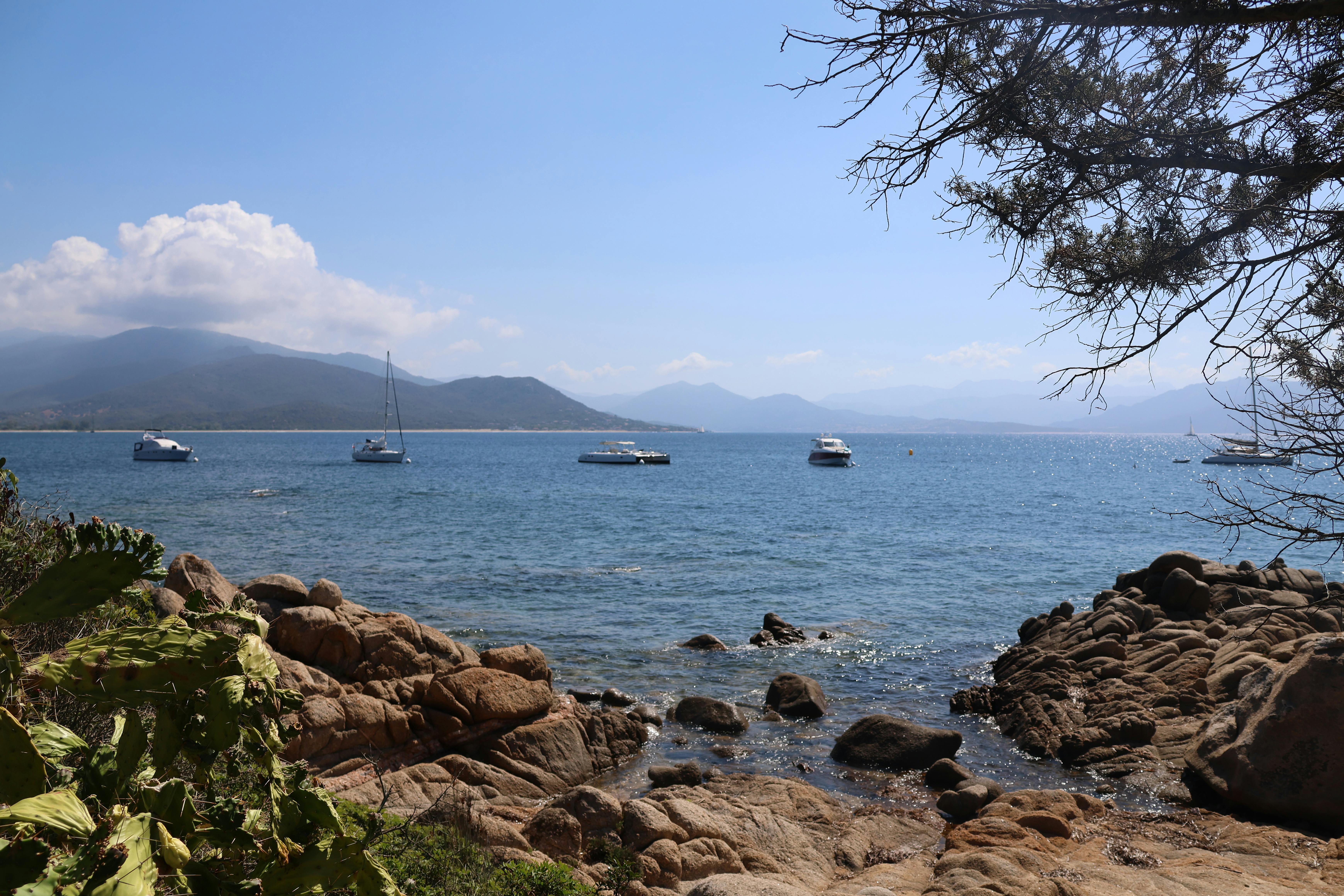 pexels-photo-35624543.jpeg?auto=compress&cs=tinysrgb&h=650&w=940