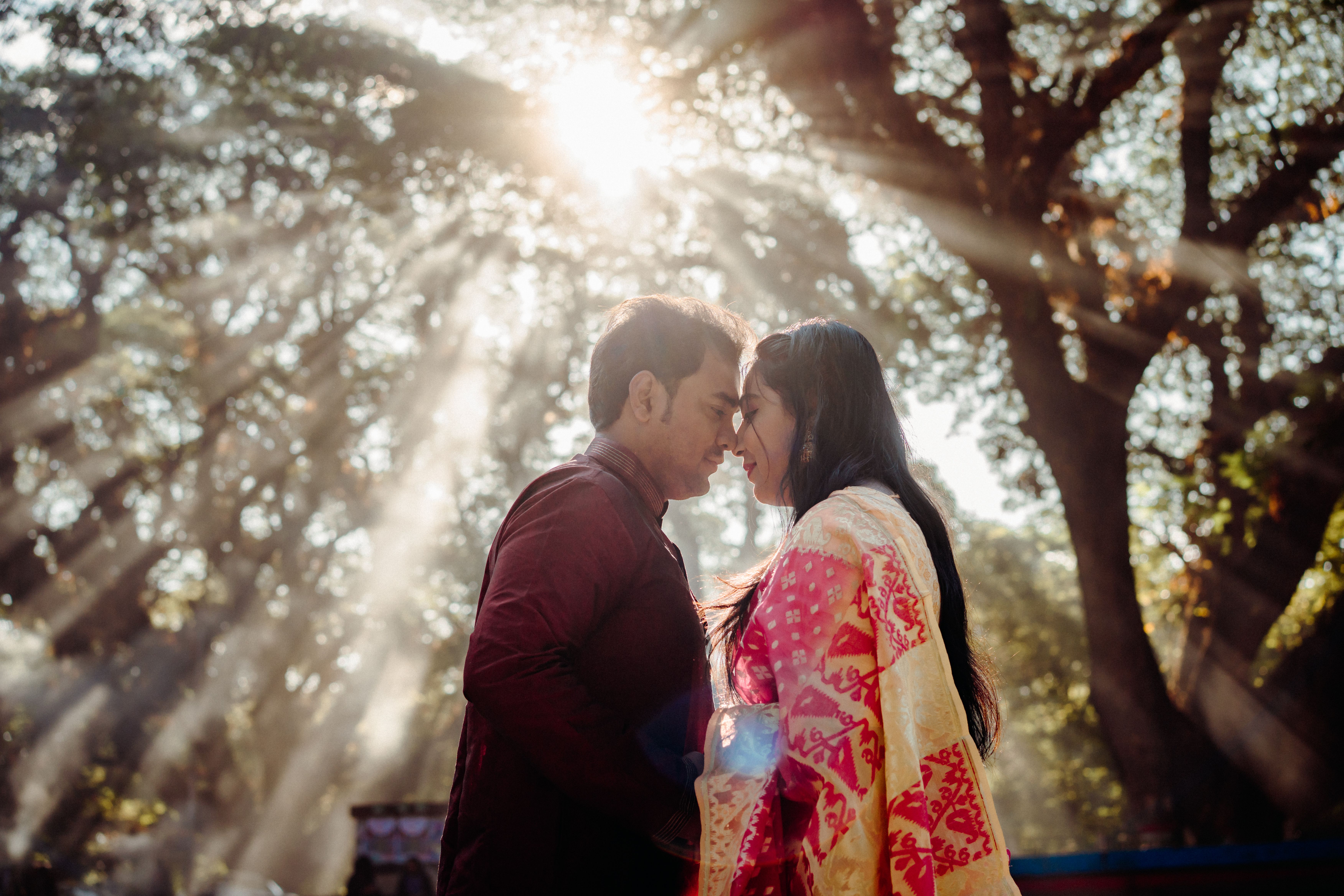 Romantic Couple in Sunlit Forest Embrace · Free Stock Photo