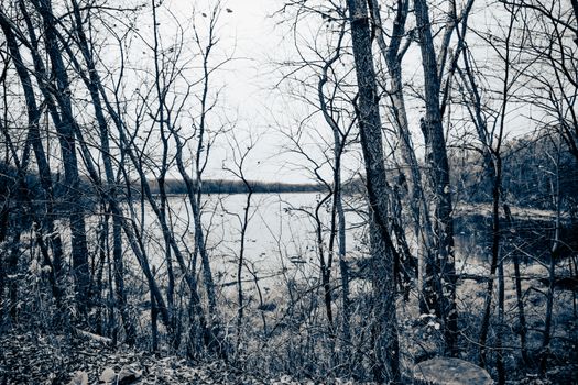 Lake Leatherwood City Park near Eureka Springs