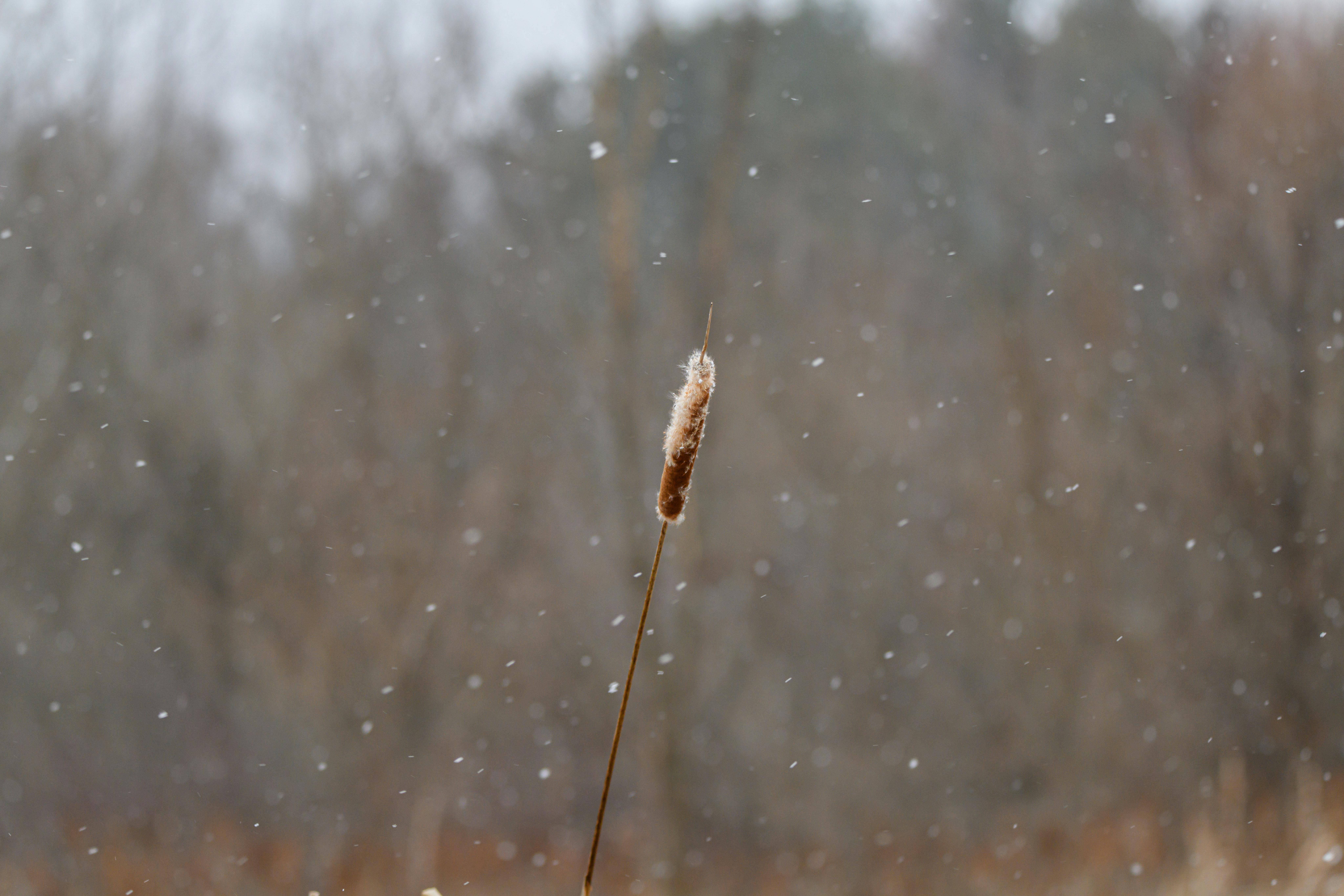 Cost-Effectiveness and Value for Your Kitchen Investment