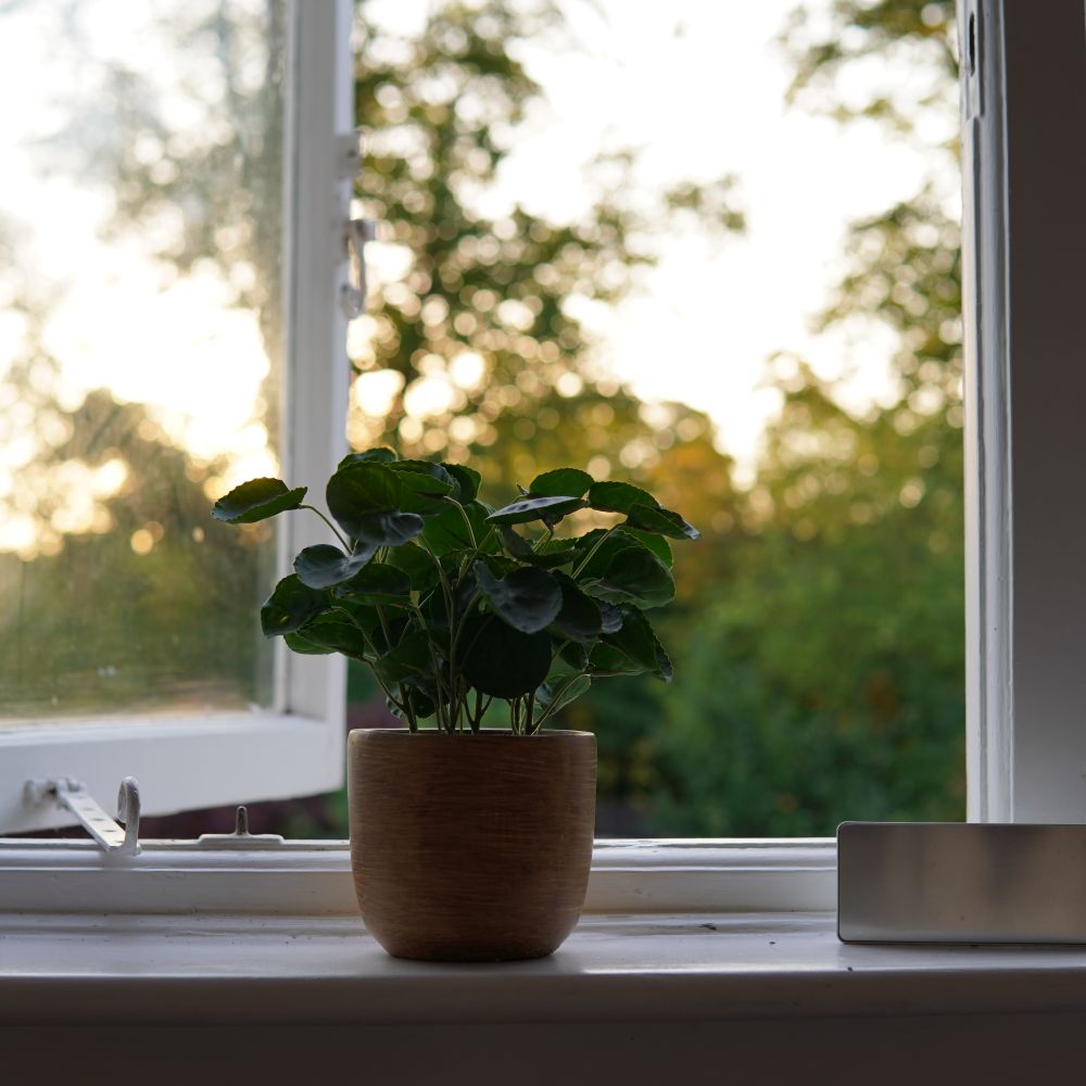 uPVC Spraying in South Ruislip — clean edges cut in around trim and sockets