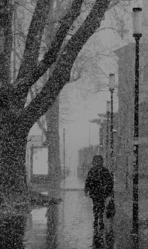 A lone figure walks under streetlights during a heavy snowfall in an urban setting.