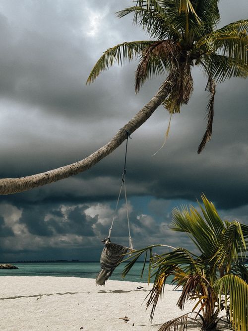 Free A hammock hanging from a coconut palm tree on a sandy beach in Гурайдо, Maldives, with dramatic stormy skies. Stock Photo