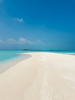 马尔代夫一片宁静祥和的景象：洁白的沙滩，清澈的海水，湛蓝的天空。 - 相关推荐