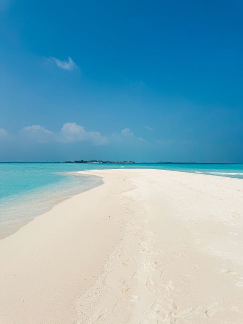 Serene image of a white sand beach with crystal clear waters in the Maldives under a clear blue sky.