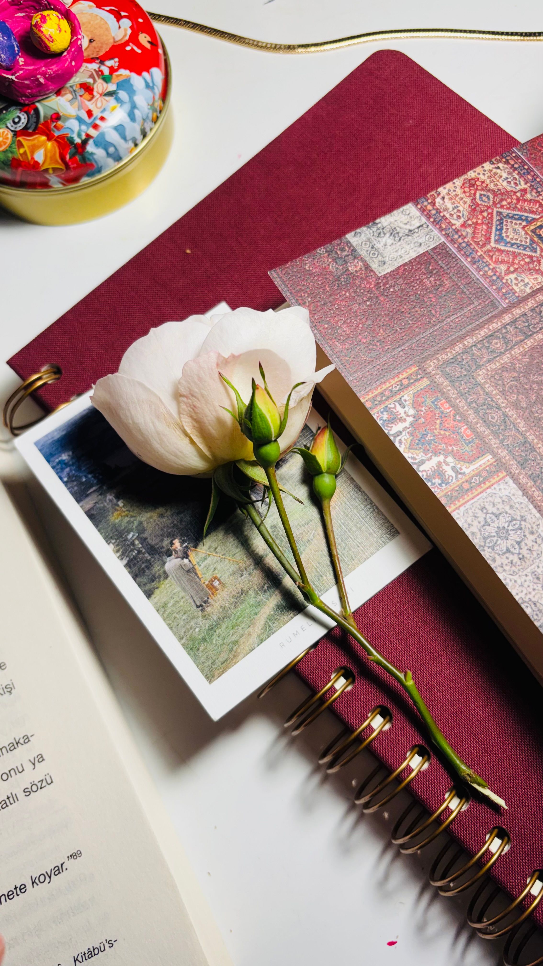 A delicate pink rose lies on a notebook with a photograph and a patterned book, creating an artistic still life.