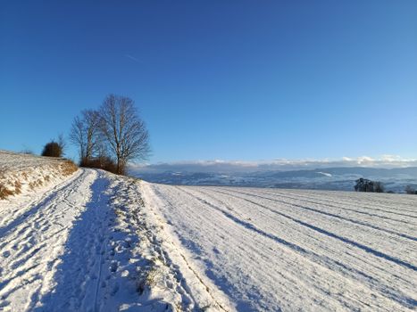 A serene snow-covered landscape of fields and trees under a clear blue sky.