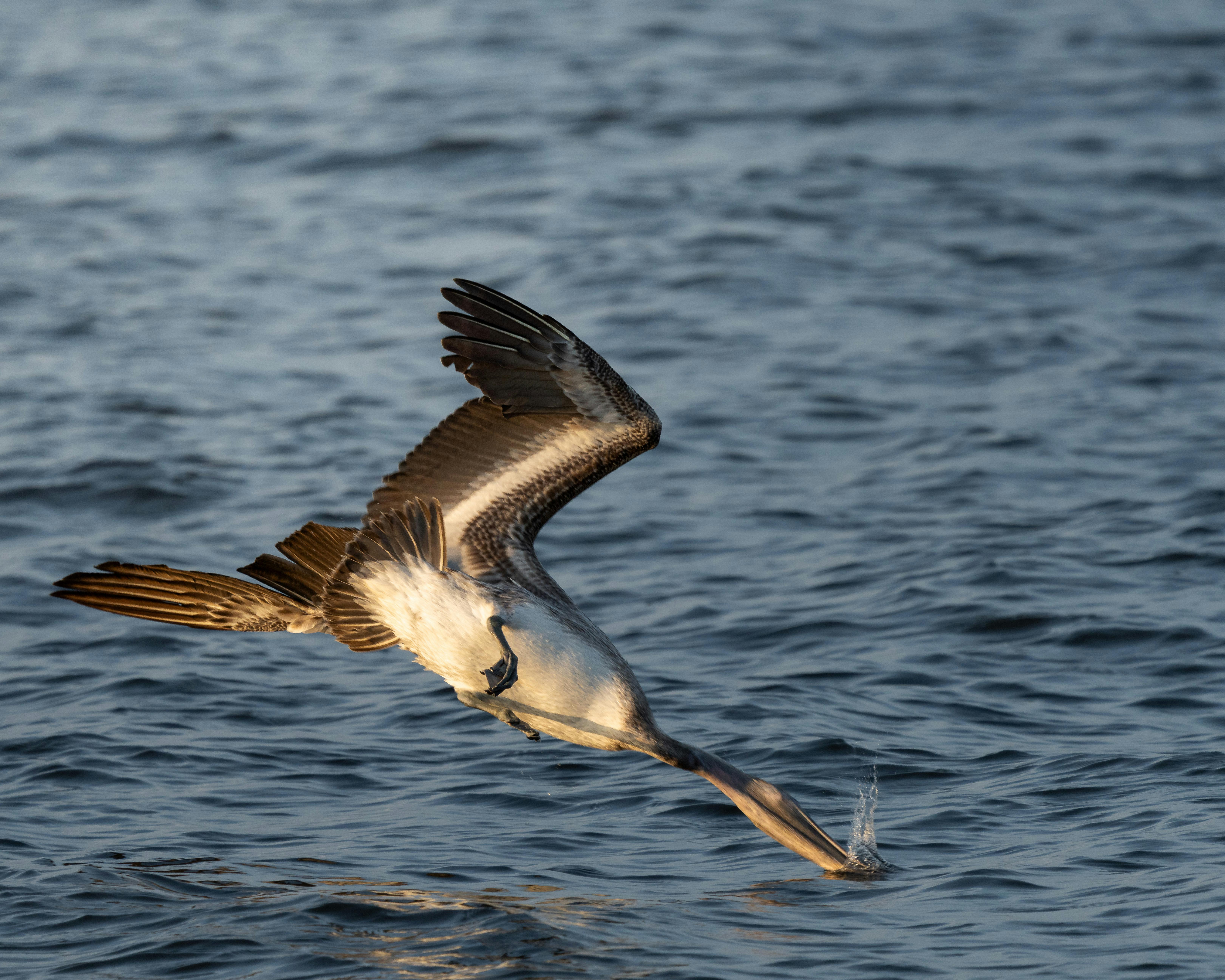【潛點完全攻略】朗島（蘭嶼）- 原始海域的純淨體驗：探索達悟文化的蔚藍瑰寶