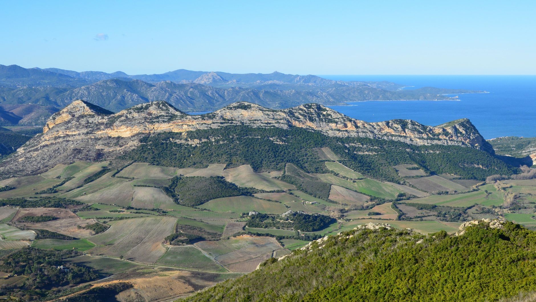 Hodei Arrillaga