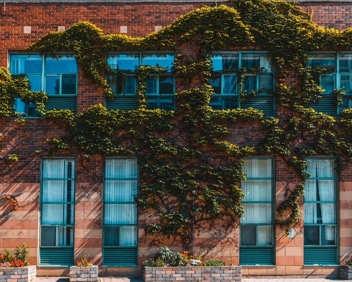student moves in Old Basing — Student Moves in Old Basing — the working end of the job