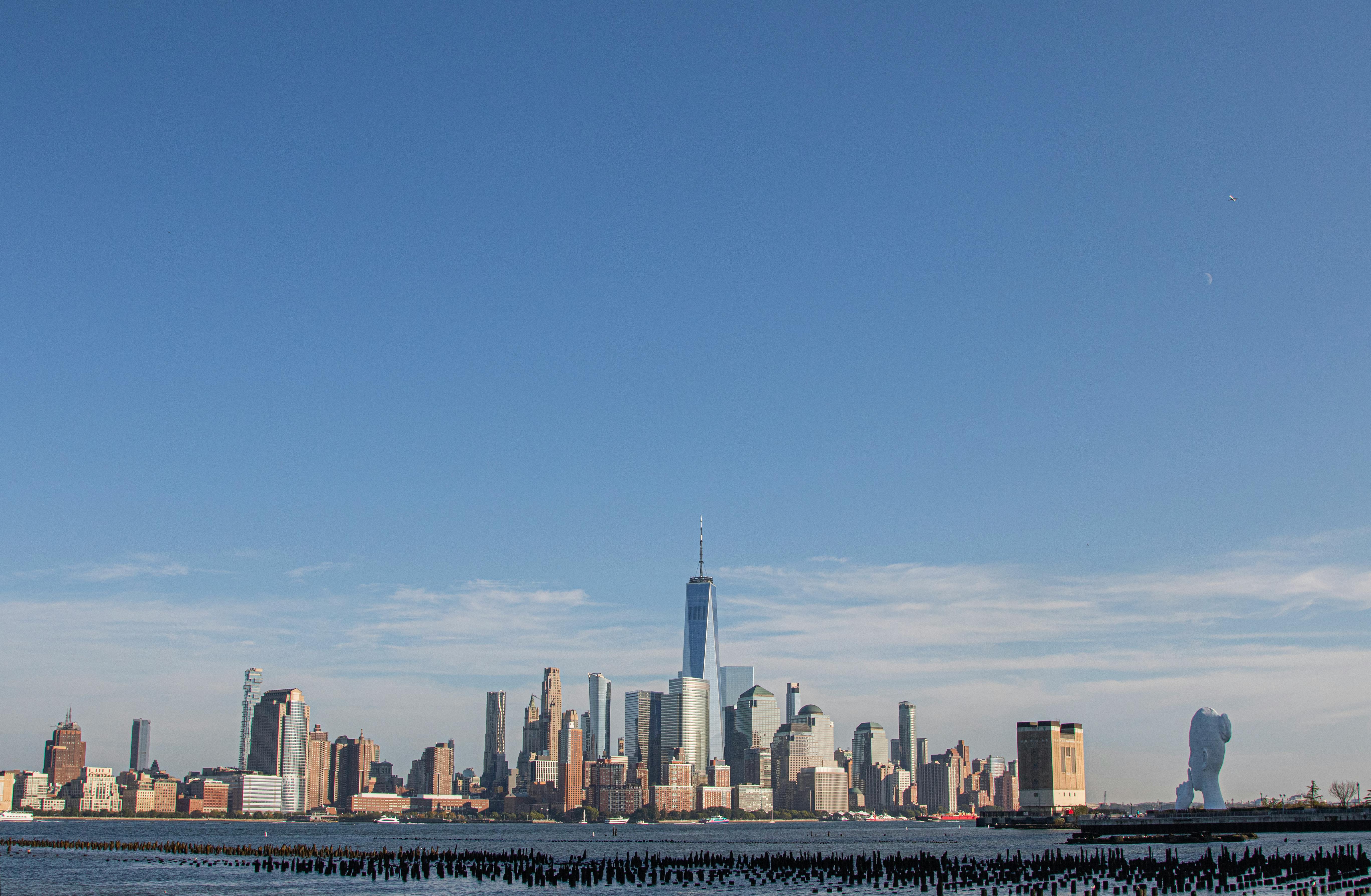 Zadarmo Fotobanka s bezplatnými fotkami na tému americké mesto, architektúra, beh v central parku Fotka z fotobanky