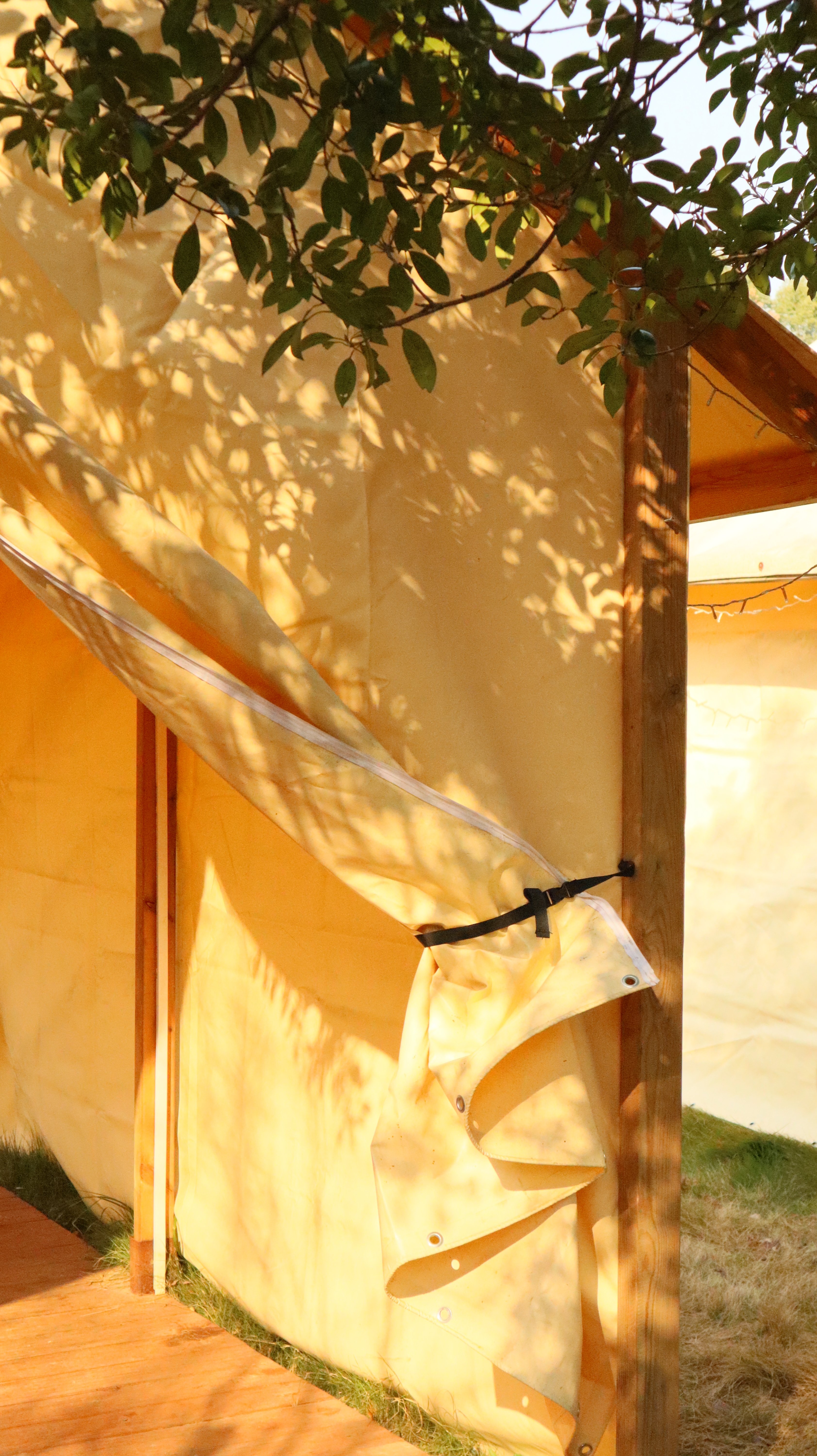 Eco-Friendly Design and Sustainability Aspects of Greenworks Products