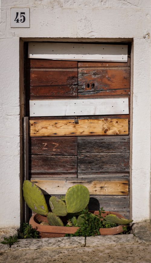 Free A vintage wooden door with cactus plants in a pot, showcasing Italian rustic architecture. Stock Photo
