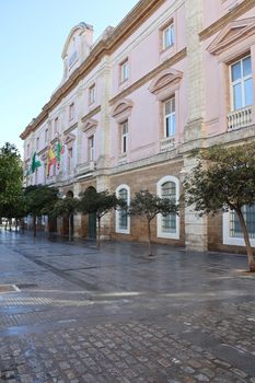 Elegant street view of the historic Diputación de Cádiz building in sunny Andalucía.
