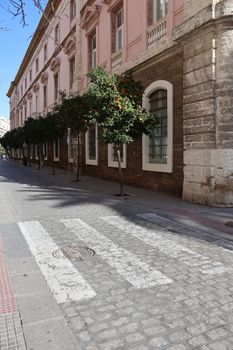A vibrant street in Cádiz, Spain featuring traditional architecture and citrus trees.