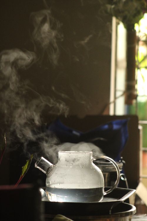 Free A steaming glass teapot in a warm indoor environment, with natural light filtering through a window. Stock Photo