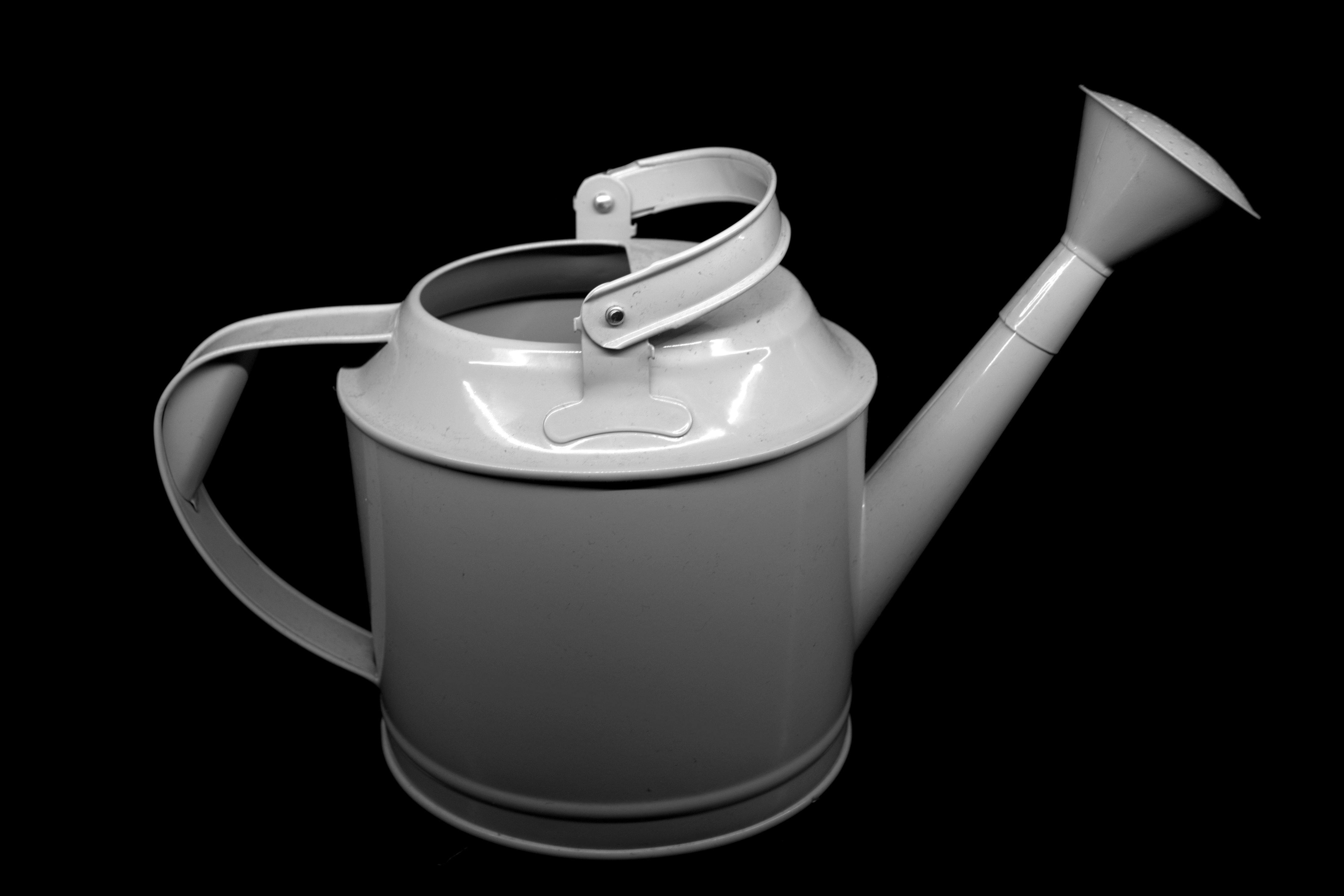 Metal watering can pouring water over plants