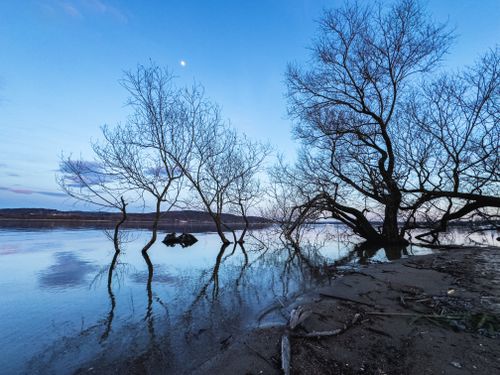 Free Serene twilight scene at Lake Varese with bare trees reflecting in calm waters. Stock Photo