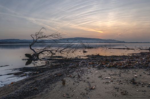Peaceful sunrise by a lake with a fallen tree, creating a tranquil reflection in still waters.