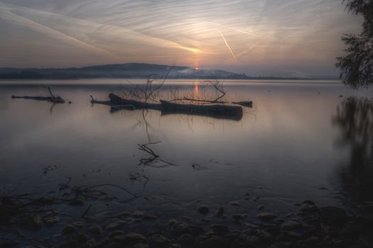 Peaceful sunrise over a calm lake with silhouette of fallen trees.