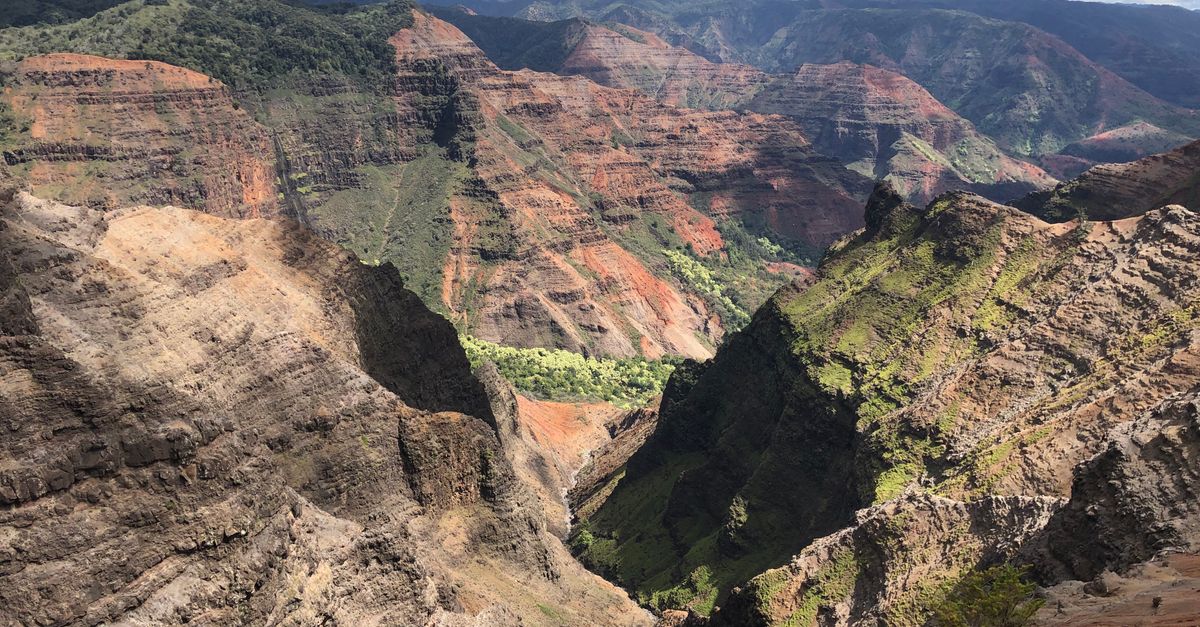 Photo by Sammy Miyamoto Breathtaking aerial view of Waimea Canyon, Hawaii, showcasing vibrant landscapes and rich rock formations.