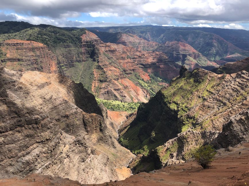 Photo by Sammy Miyamoto Breathtaking aerial view of Waimea Canyon, Hawaii, showcasing vibrant landscapes and rich rock formations.