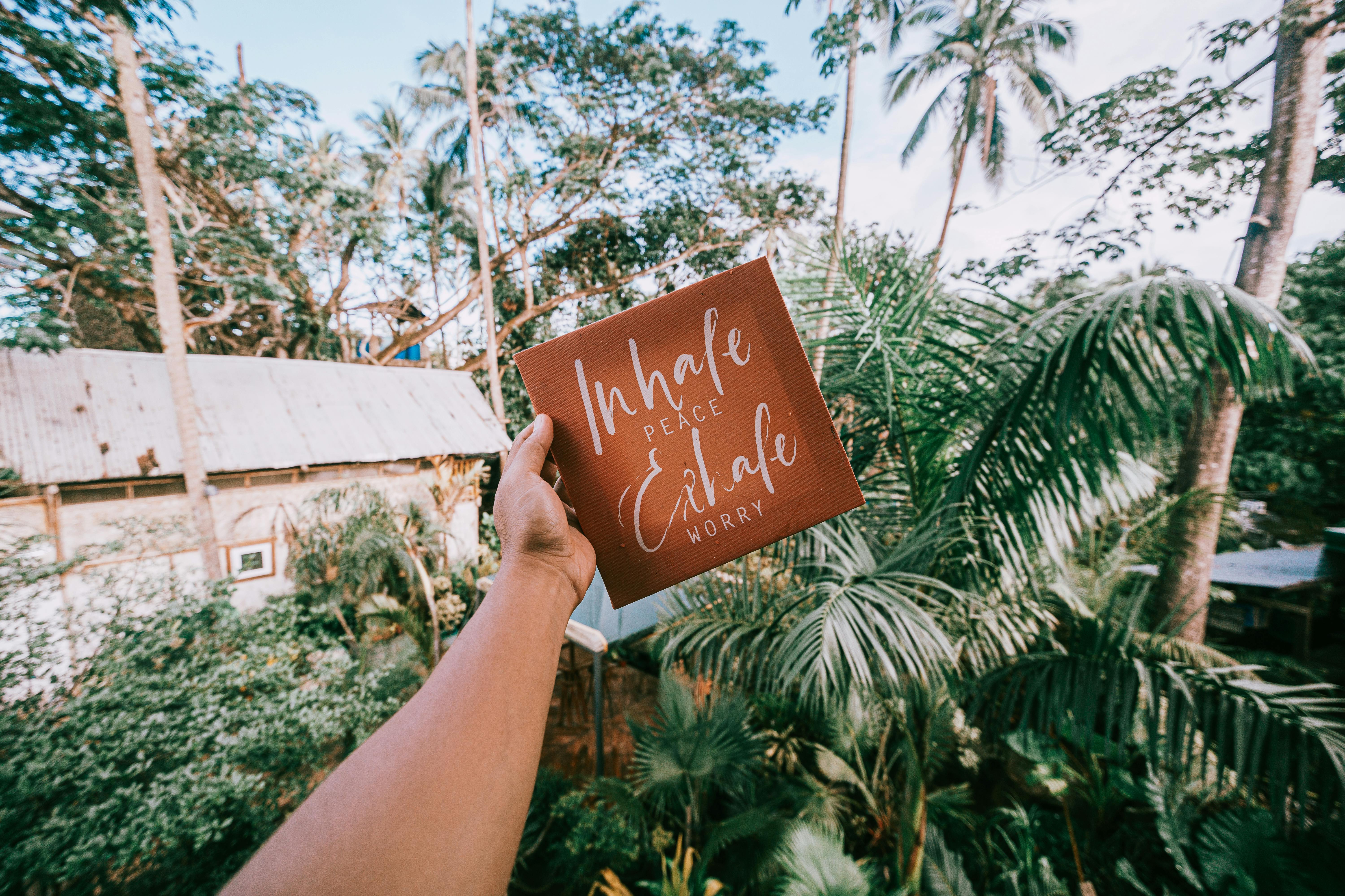 5 Habits To Go From Chaos To Calm
