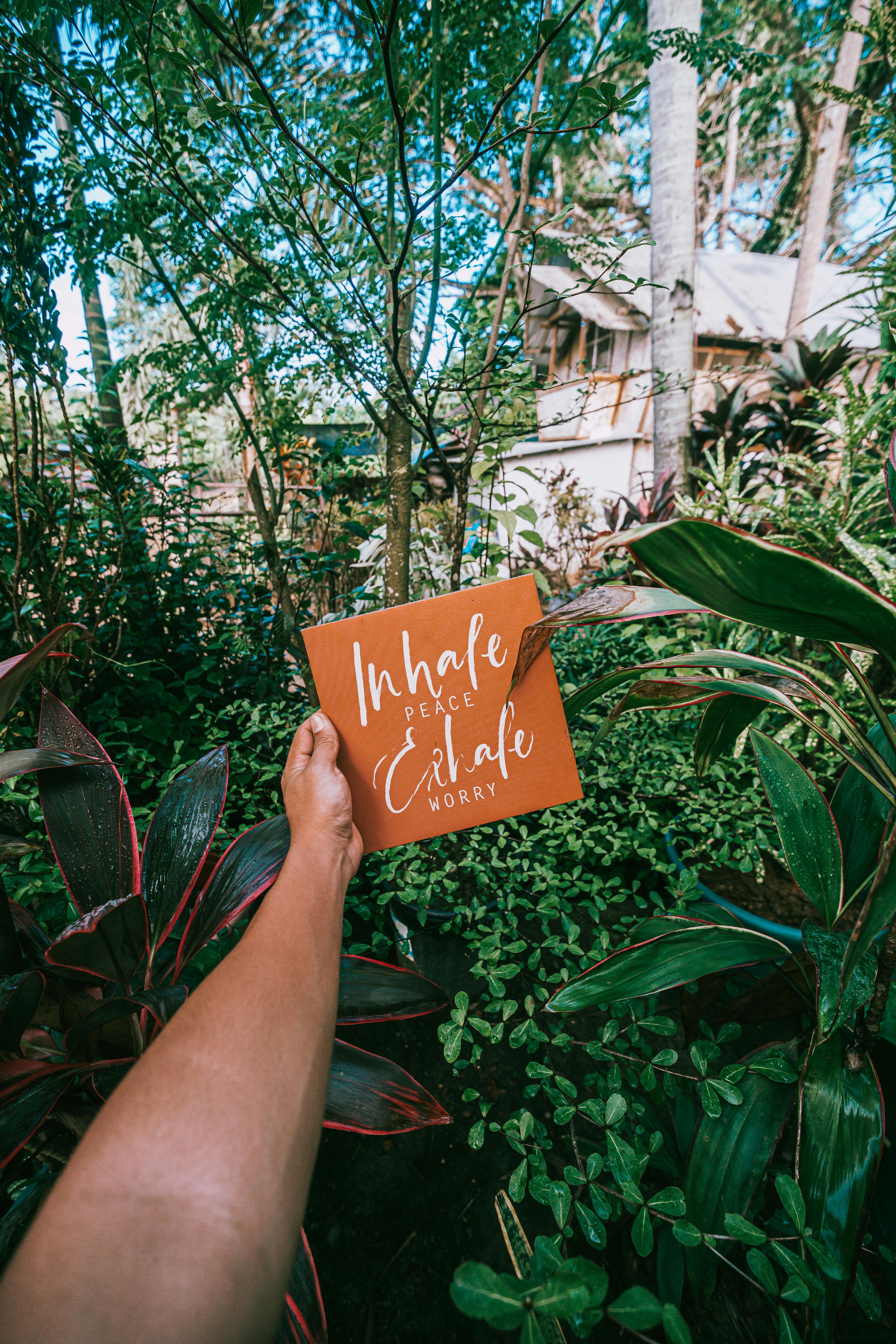 Body And Mind Self Care Routine 7 Day Plan