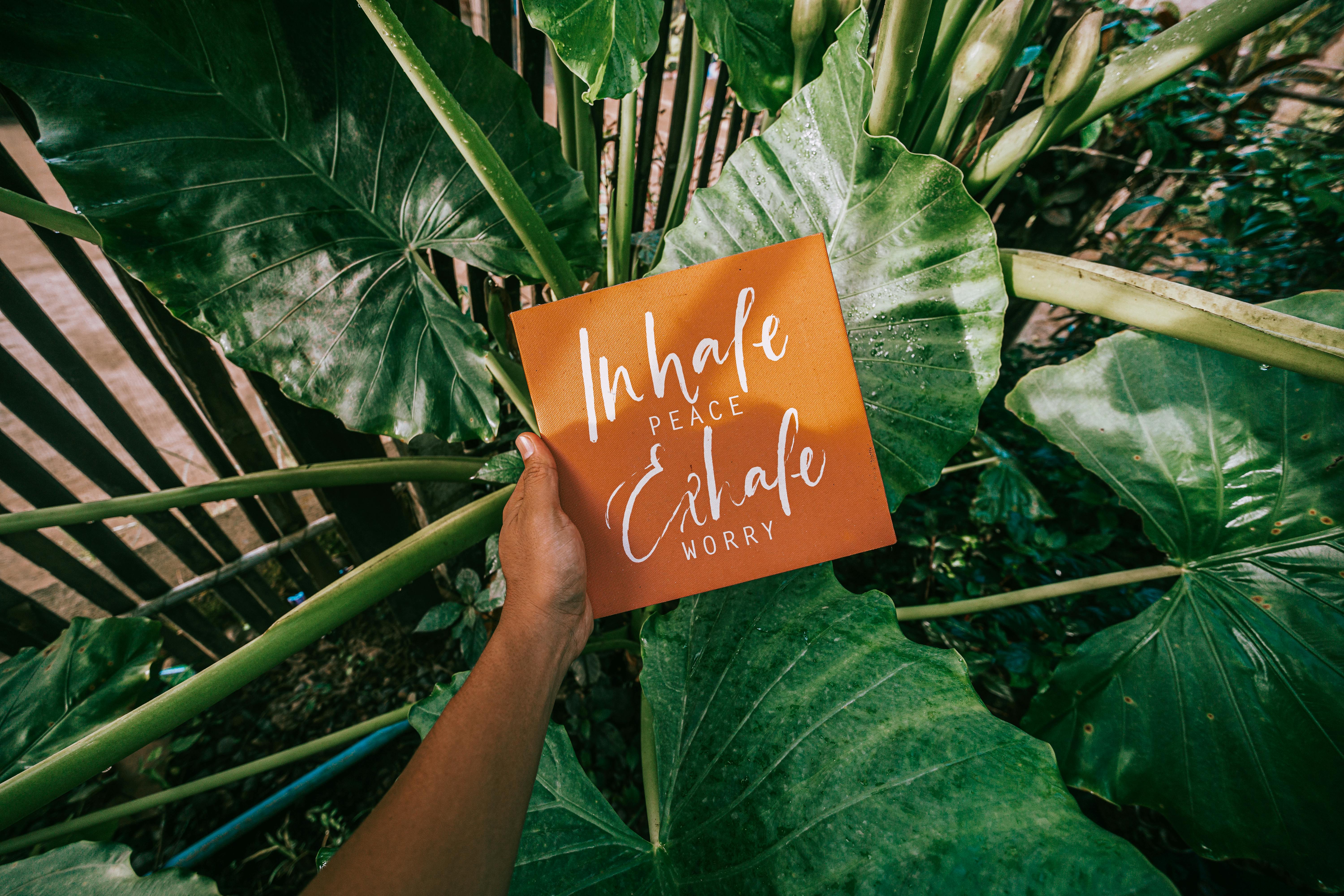 5 Habits To Go From Chaos To Calm
