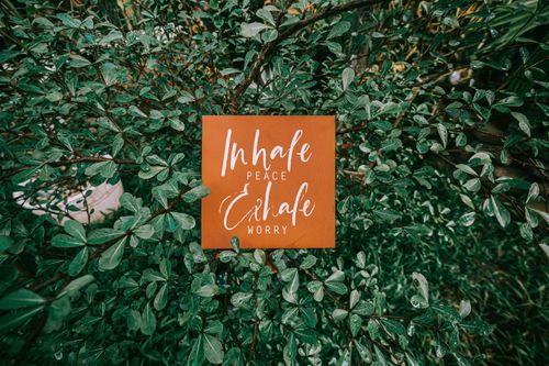 Free A motivational sign with 'Inhale Peace, Exhale Worry' amidst dense greenery. Stock Photo