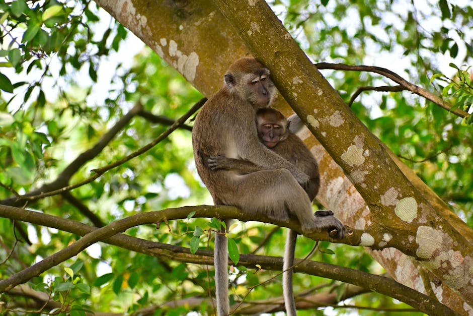 A modern developer workstation showing a Keras model definition alongside training logs in a terminal, with a compact single-board computer on the desk for local inference testing