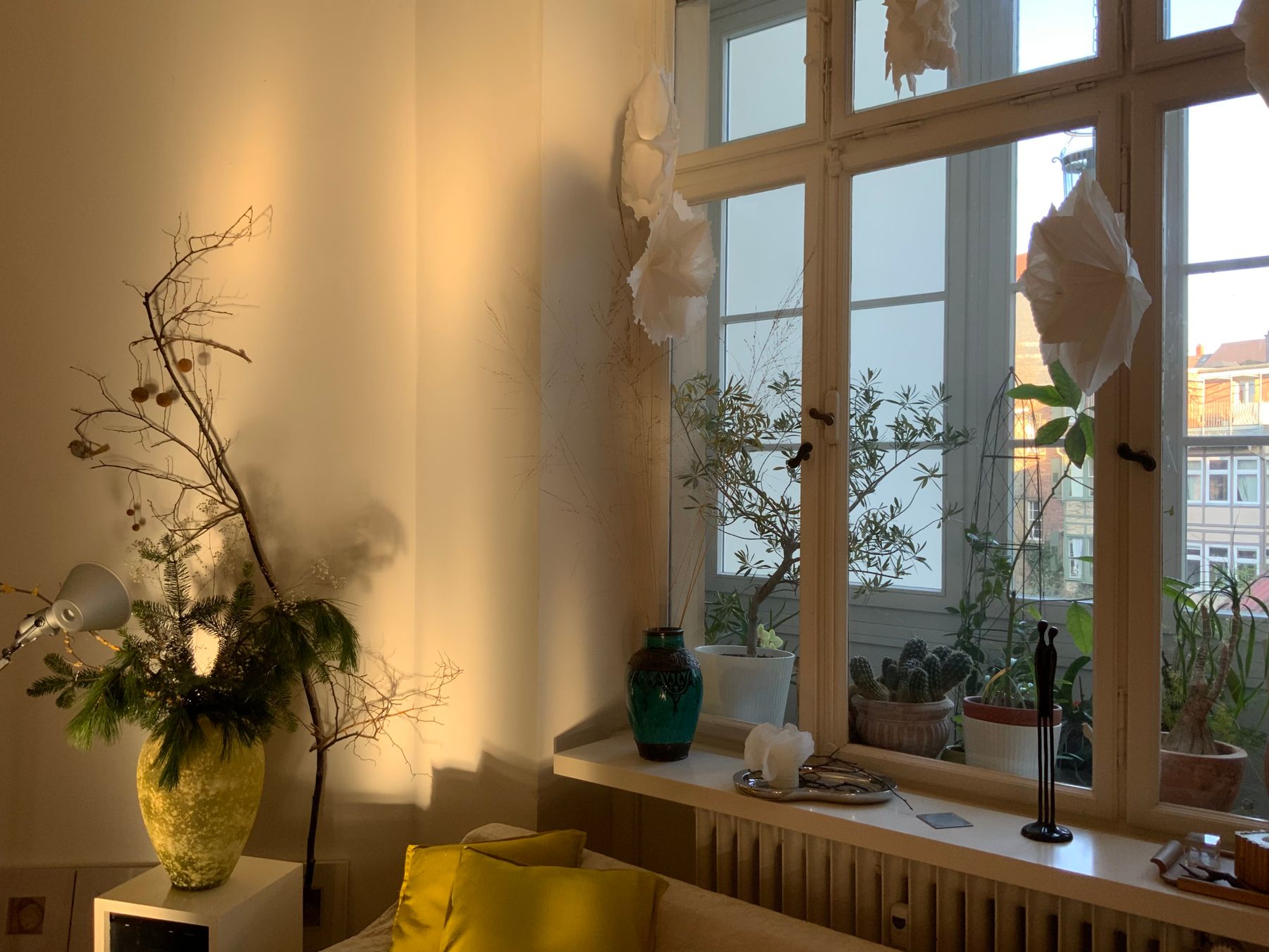 Sunlight streaming across a living room with plants and seating