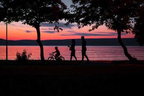 Free Silhouette of a family walking and biking by a lake at sunset, framed by trees. Stock Photo