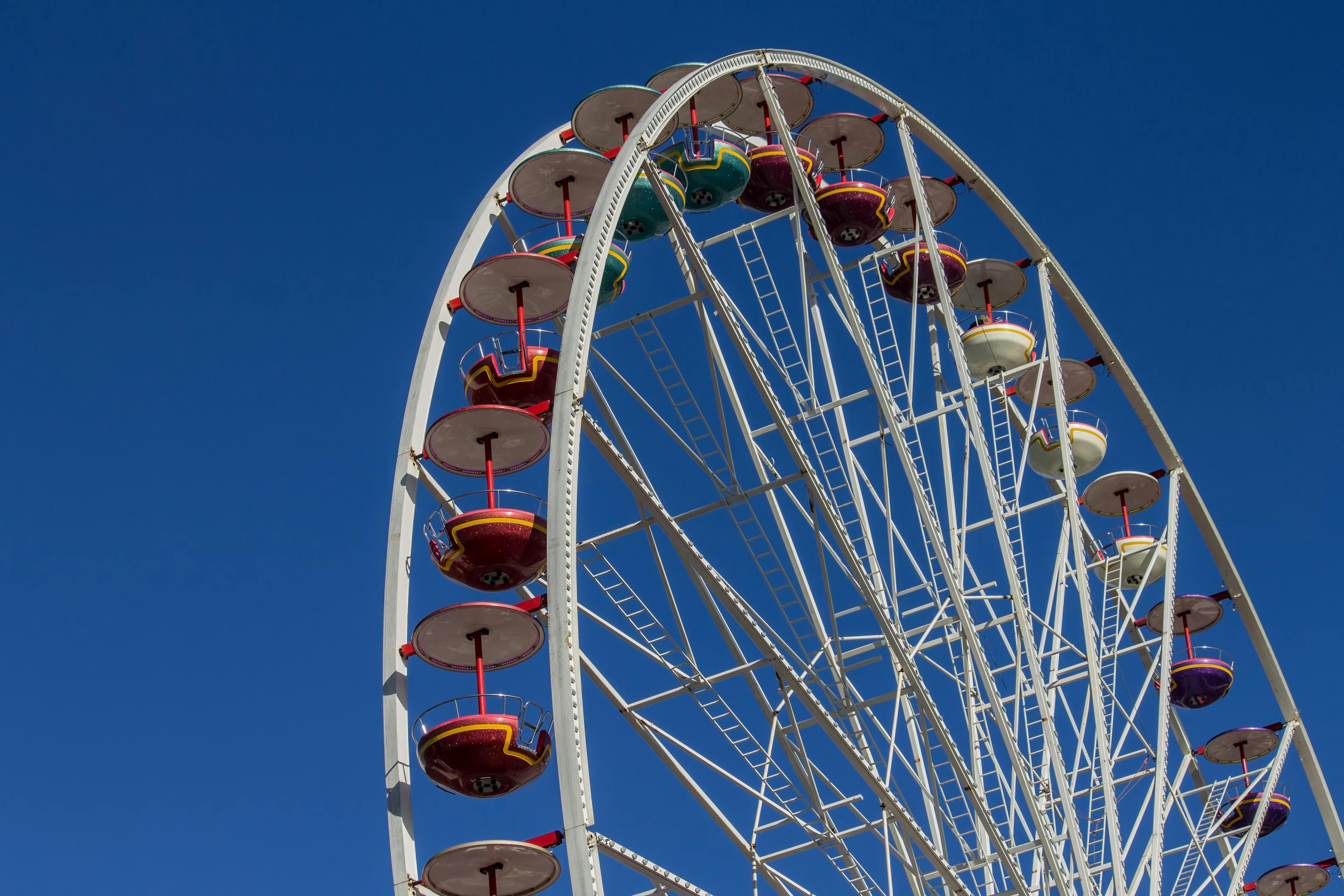 Observation wheel in modern amusement park · Free Stock Photo