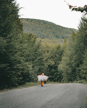 Person walking down a forest road in Türkiye, surrounded by lush greenery. Captivating natural scene.