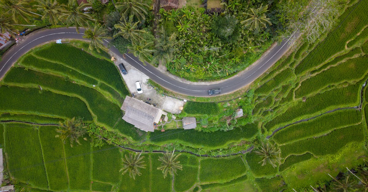 Ubud Bali