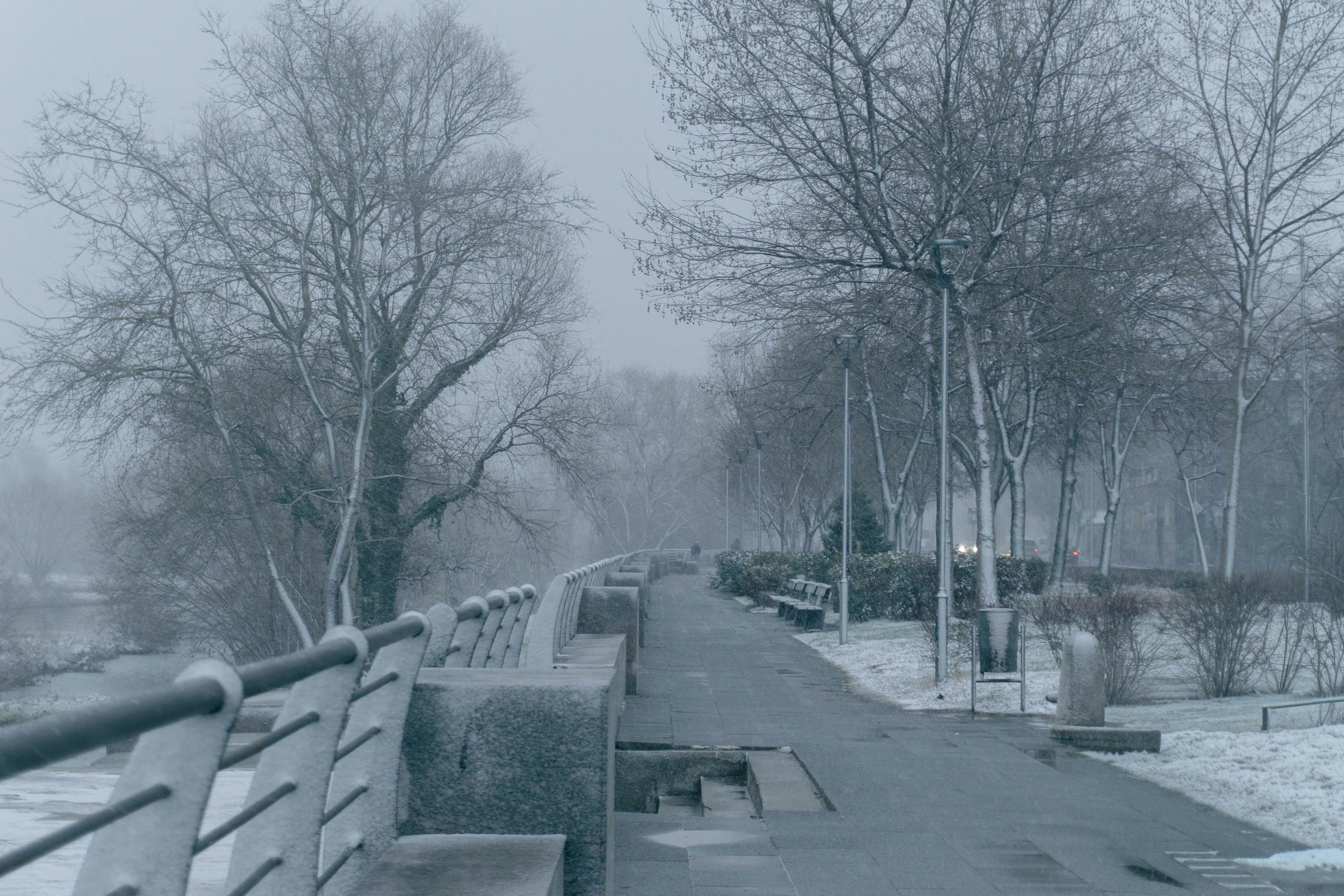 Culinary⁣ Tips ⁤and Tricks ‍for Maximizing the Ninja Storm 1200W