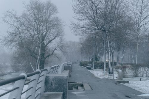 Free Snowy path in Plovdiv park with bare trees and a cold winter ambiance. Stock Photo