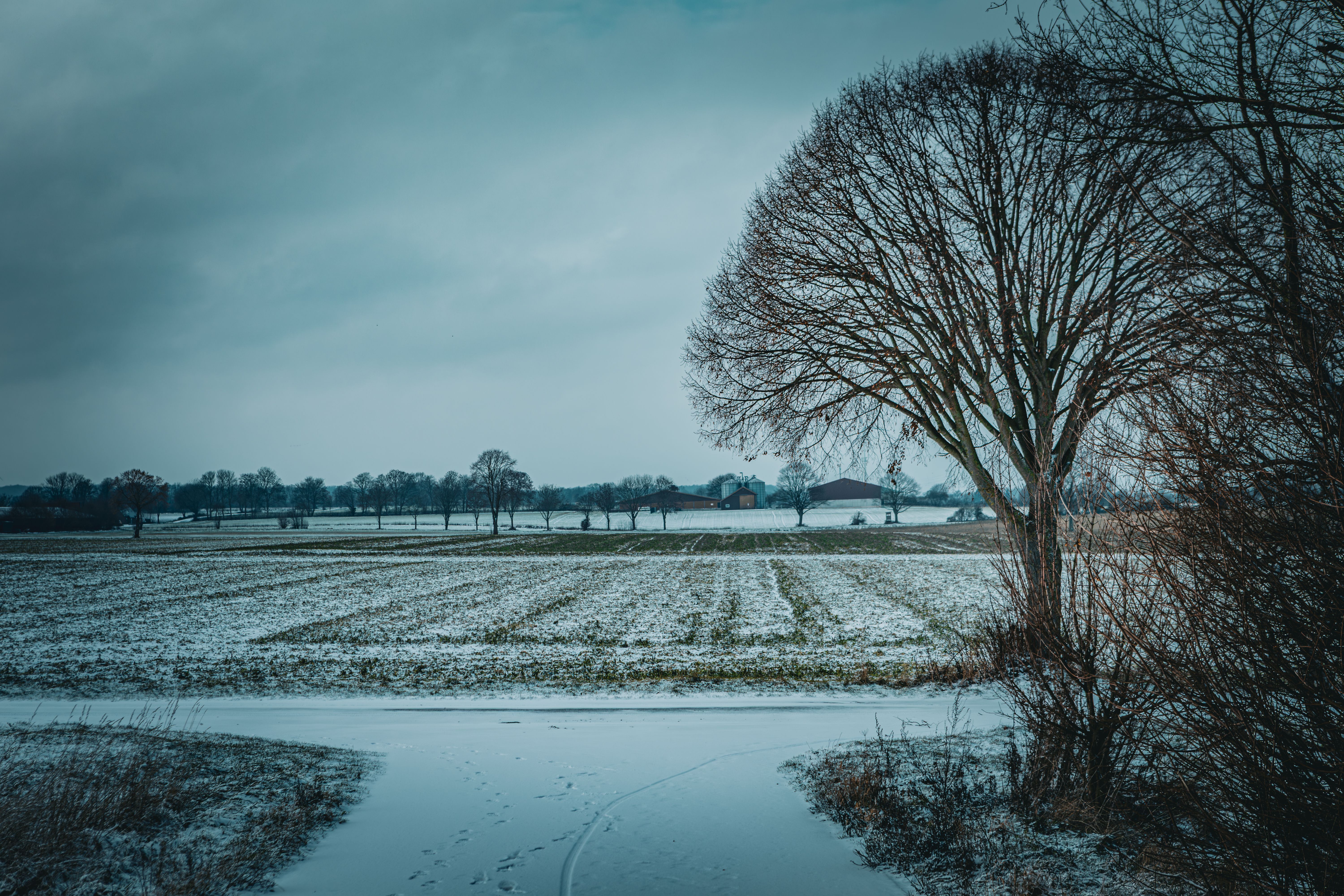 gratis Een vredig winterlandschap op het platteland met besneeuwde velden en kale bomen onder een bewolkte hemel. Stockfoto