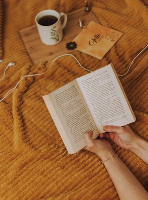Free photo of hands holding a book Stock Photo