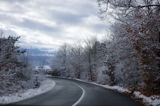 A peaceful winter scene of a snow-covered road winding through a tranquil forest.