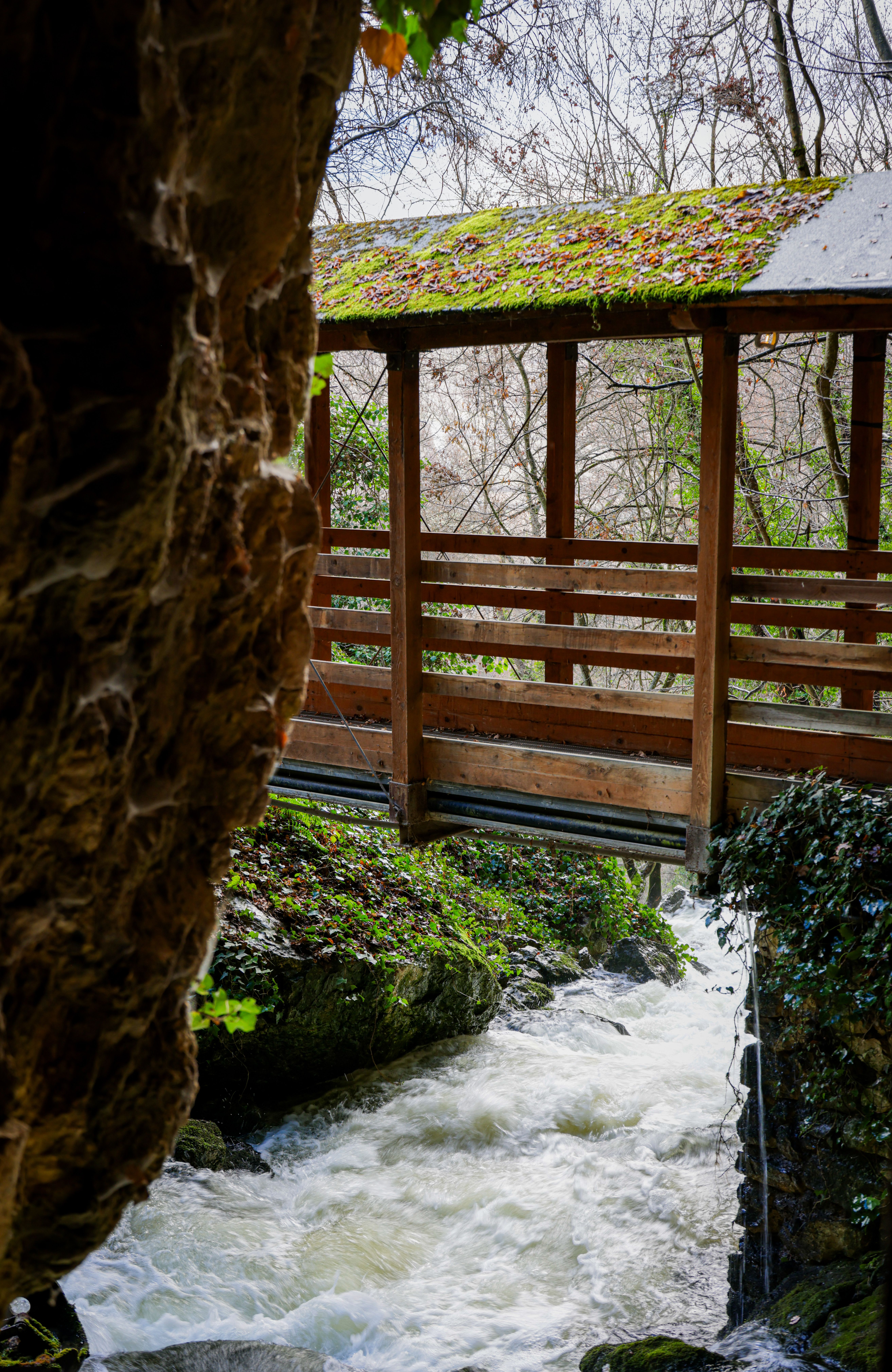 Puente Rústico De Madera Sobre Un Arroyo · Foto de stock gratuita