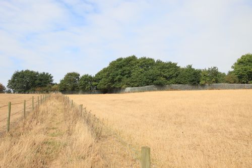 Free Bright summer landscape featuring a rural field and greenery in Audley, England. Stock Photo