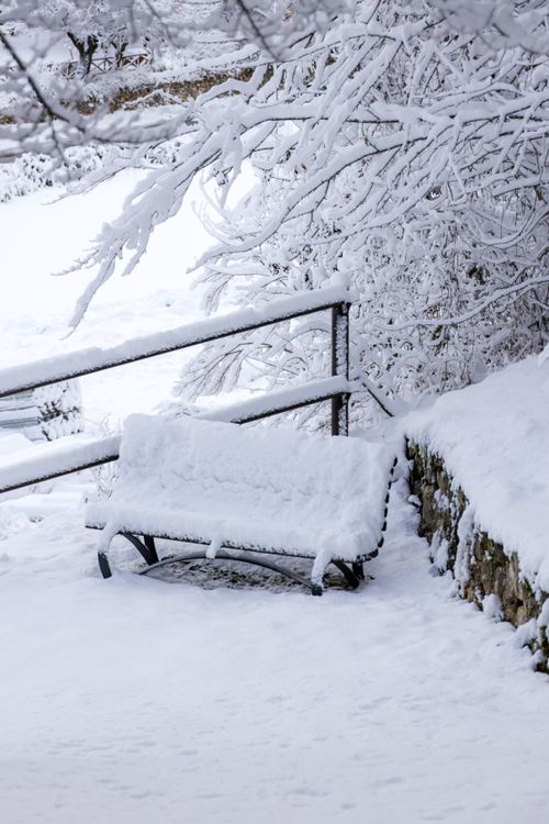 Free A tranquil scene of a snow-laden bench amidst a picturesque winter wonderland. Stock Photo
