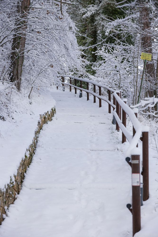 Snowy Path Photos, Download The BEST Free Snowy Path Stock Photos & HD ...