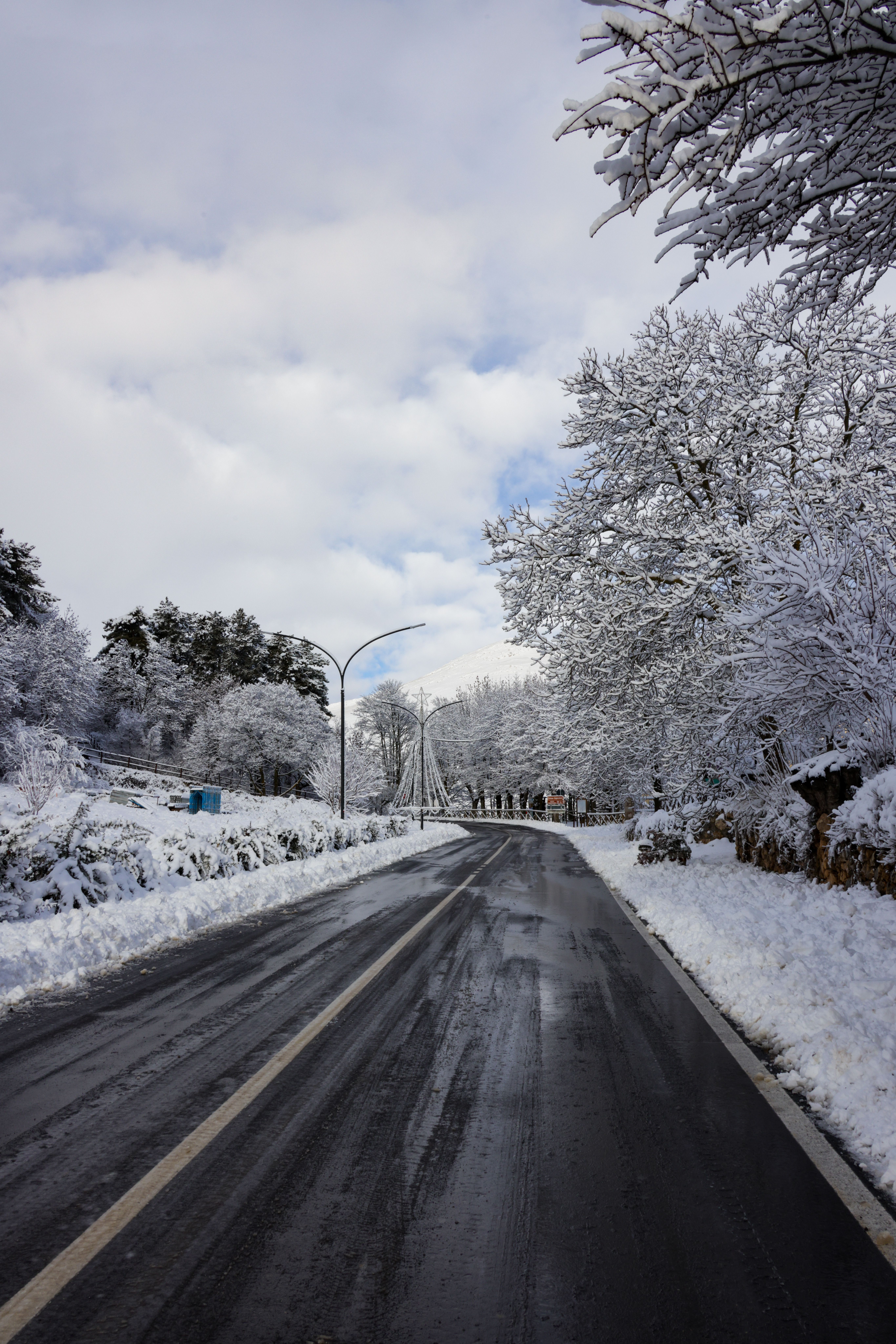 Scenic Snowy Road Through Winter Wonderland Forest · Free Stock Photo